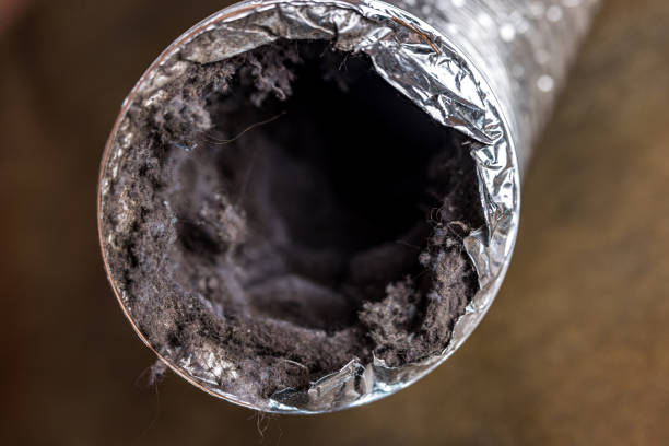 Air Duct Mold Removal in Fort Walton Beach, FL